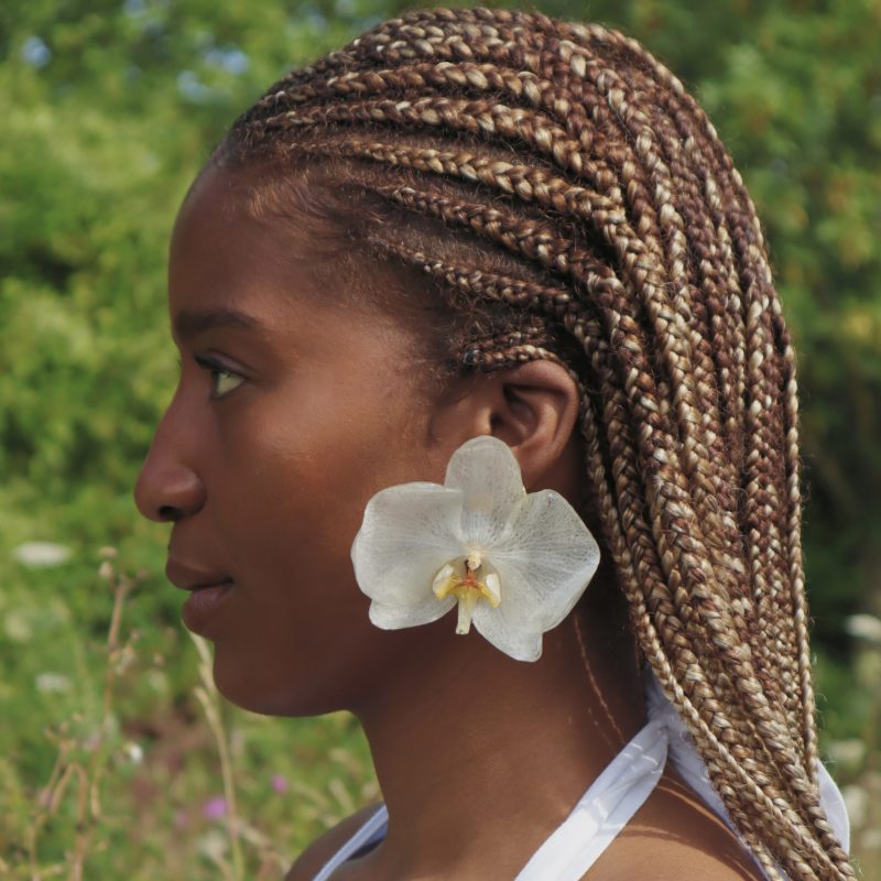L'orchidée Ninia – Image 2